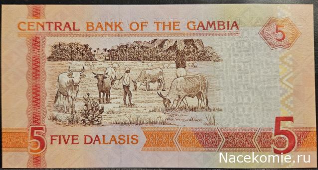 Коллекция alexenamel