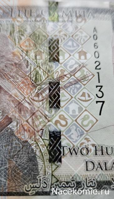 Коллекция alexenamel