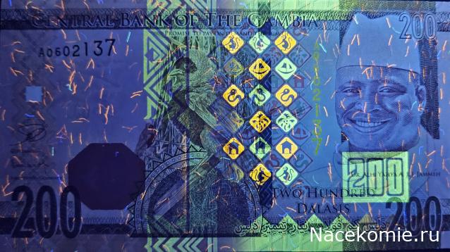 Коллекция alexenamel