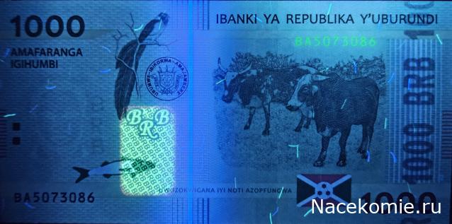 Коллекция alexenamel