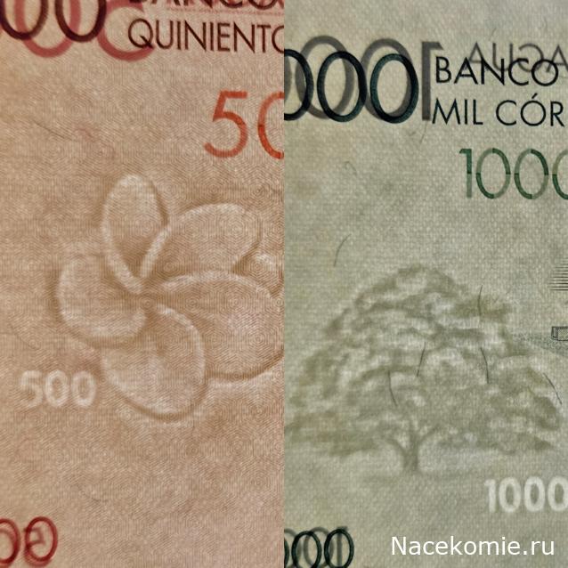 Коллекция alexenamel