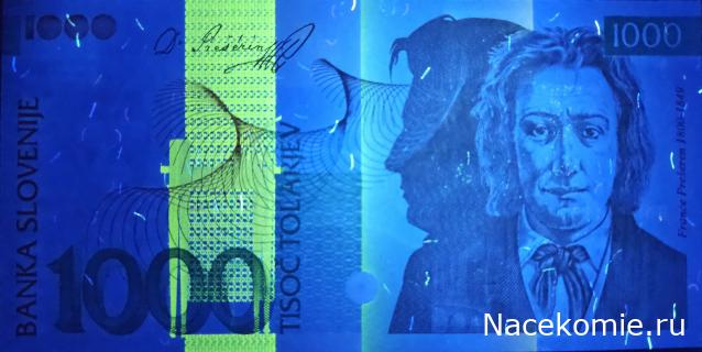 Коллекция alexenamel