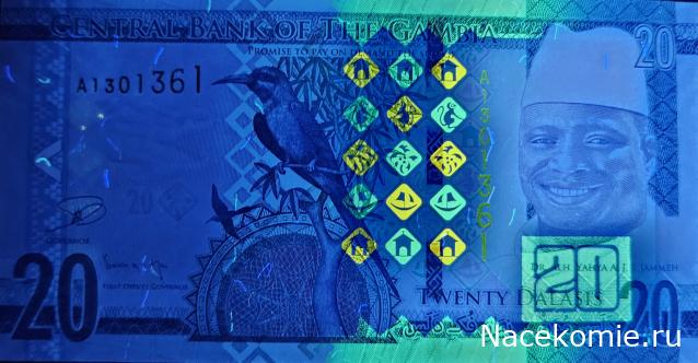 Коллекция alexenamel