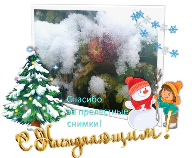 Eva1949 - Дом мечты-души моей воспоминания; 1Abrikoska - Мой гостеприимный дом