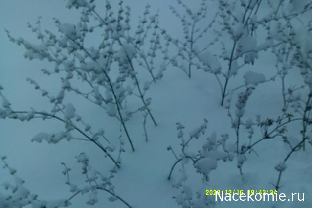 Eva1949 - Дом мечты-души моей воспоминания; 1Abrikoska - Мой гостеприимный дом