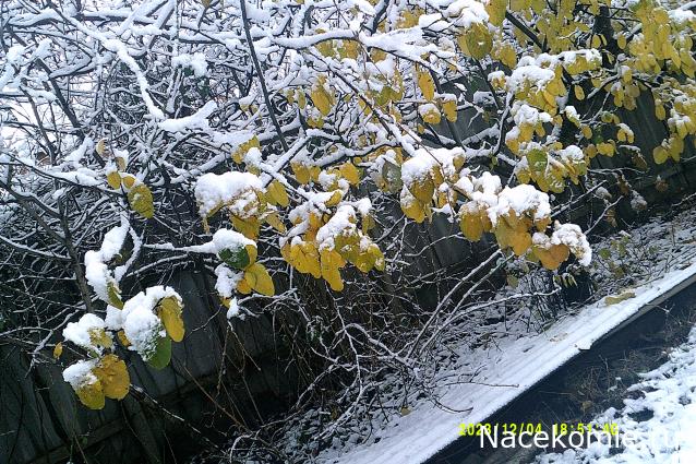 Eva1949 - Дом мечты-души моей воспоминания; 1Abrikoska - Мой гостеприимный дом