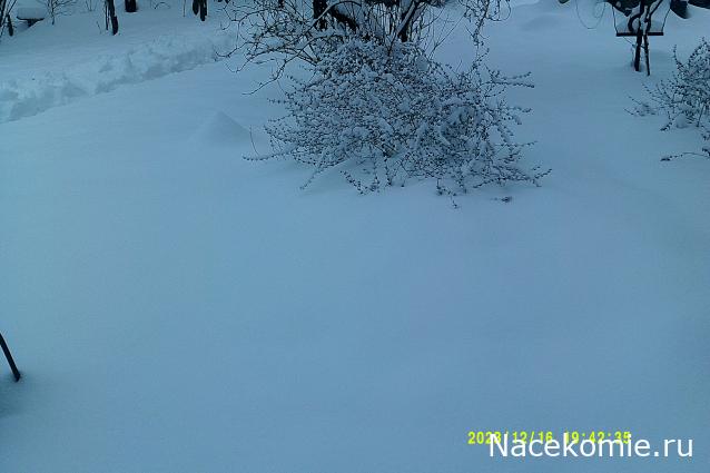 Eva1949 - Дом мечты-души моей воспоминания; 1Abrikoska - Мой гостеприимный дом