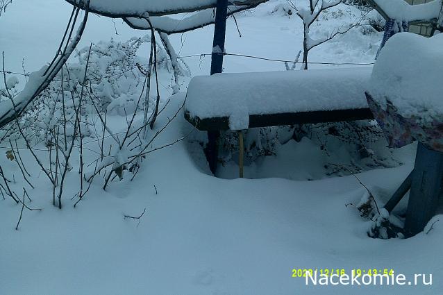 Eva1949 - Дом мечты-души моей воспоминания; 1Abrikoska - Мой гостеприимный дом