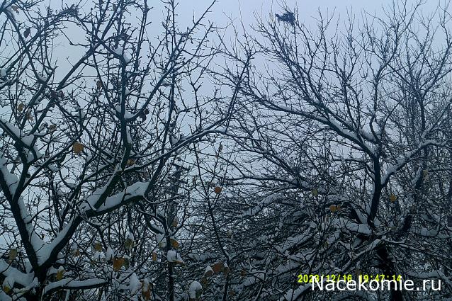 Eva1949 - Дом мечты-души моей воспоминания; 1Abrikoska - Мой гостеприимный дом