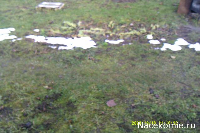 Eva1949 - Дом мечты-души моей воспоминания; 1Abrikoska - Мой гостеприимный дом