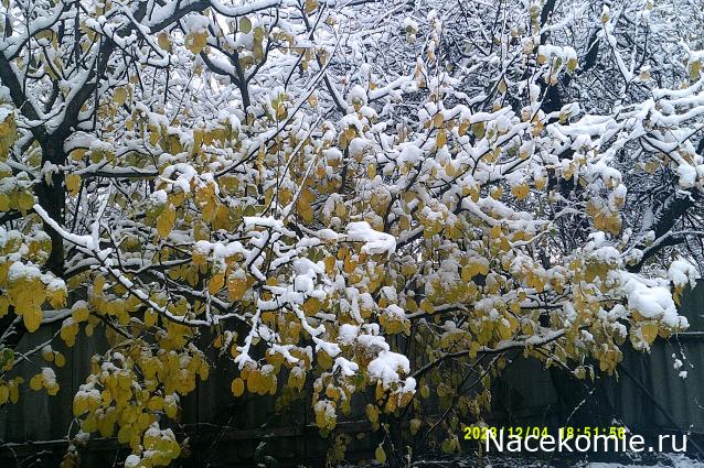 Eva1949 - Дом мечты-души моей воспоминания; 1Abrikoska - Мой гостеприимный дом