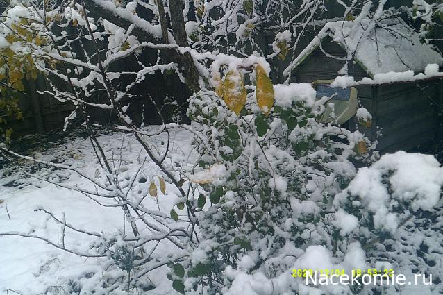 Eva1949 - Дом мечты-души моей воспоминания; 1Abrikoska - Мой гостеприимный дом