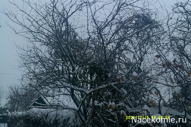 Eva1949 - Дом мечты-души моей воспоминания; 1Abrikoska - Мой гостеприимный дом