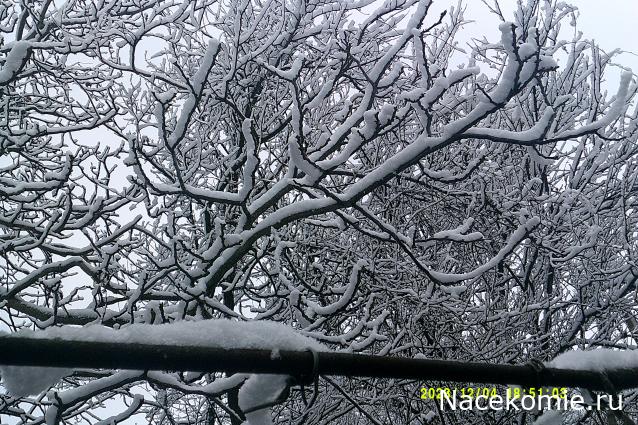 Eva1949 - Дом мечты-души моей воспоминания; 1Abrikoska - Мой гостеприимный дом