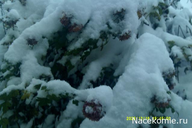 Eva1949 - Дом мечты-души моей воспоминания; 1Abrikoska - Мой гостеприимный дом