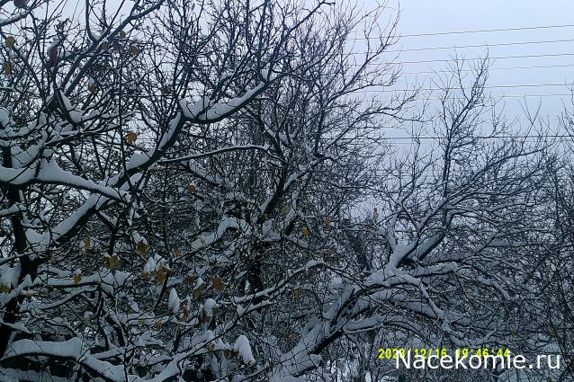 Eva1949 - Дом мечты-души моей воспоминания; 1Abrikoska - Мой гостеприимный дом