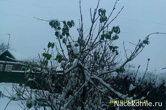 Eva1949 - Дом мечты-души моей воспоминания; 1Abrikoska - Мой гостеприимный дом