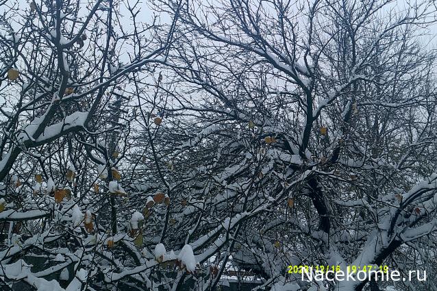 Eva1949 - Дом мечты-души моей воспоминания; 1Abrikoska - Мой гостеприимный дом