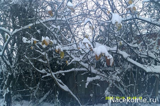 Eva1949 - Дом мечты-души моей воспоминания; 1Abrikoska - Мой гостеприимный дом