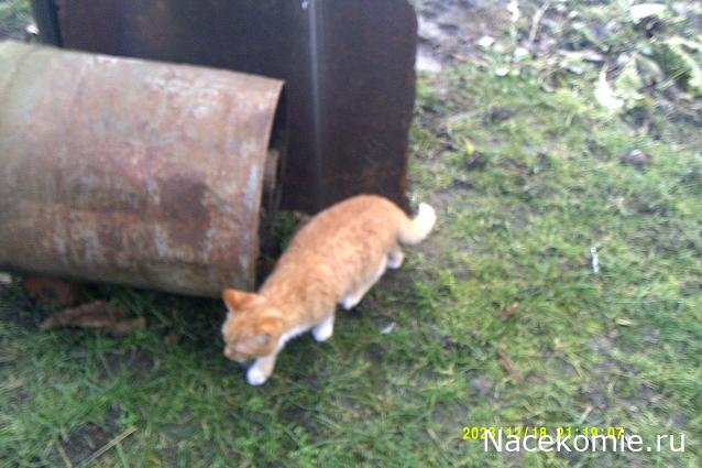 Eva1949 - Дом мечты-души моей воспоминания; 1Abrikoska - Мой гостеприимный дом