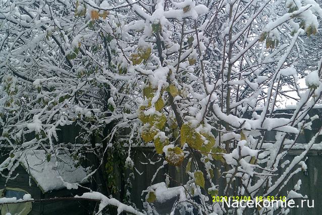 Eva1949 - Дом мечты-души моей воспоминания; 1Abrikoska - Мой гостеприимный дом