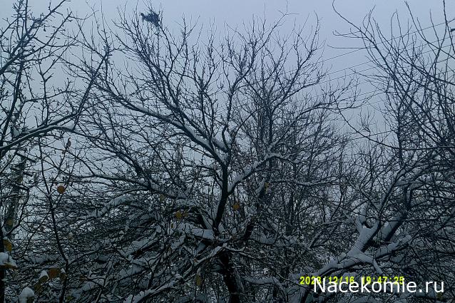 Eva1949 - Дом мечты-души моей воспоминания; 1Abrikoska - Мой гостеприимный дом