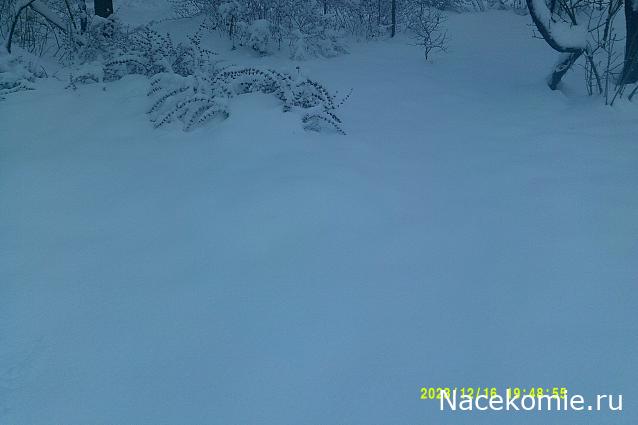 Eva1949 - Дом мечты-души моей воспоминания; 1Abrikoska - Мой гостеприимный дом