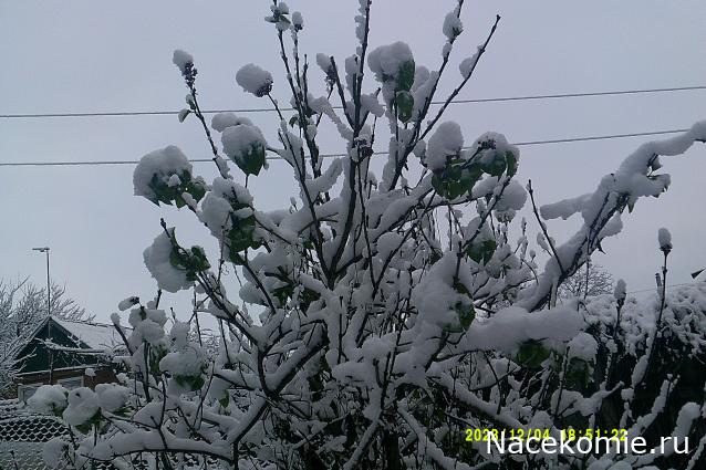 Eva1949 - Дом мечты-души моей воспоминания; 1Abrikoska - Мой гостеприимный дом