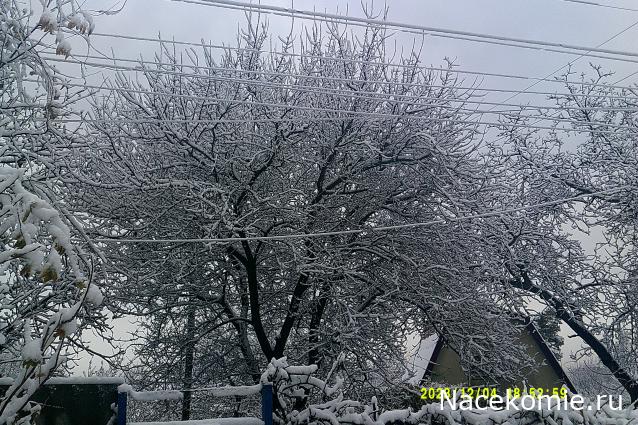 Eva1949 - Дом мечты-души моей воспоминания; 1Abrikoska - Мой гостеприимный дом