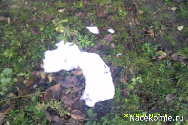 Eva1949 - Дом мечты-души моей воспоминания; 1Abrikoska - Мой гостеприимный дом