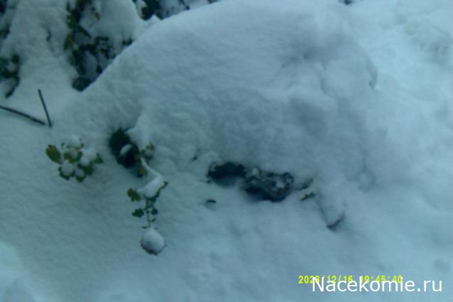 Eva1949 - Дом мечты-души моей воспоминания; 1Abrikoska - Мой гостеприимный дом