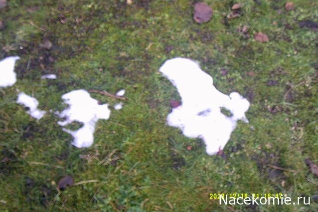 Eva1949 - Дом мечты-души моей воспоминания; 1Abrikoska - Мой гостеприимный дом