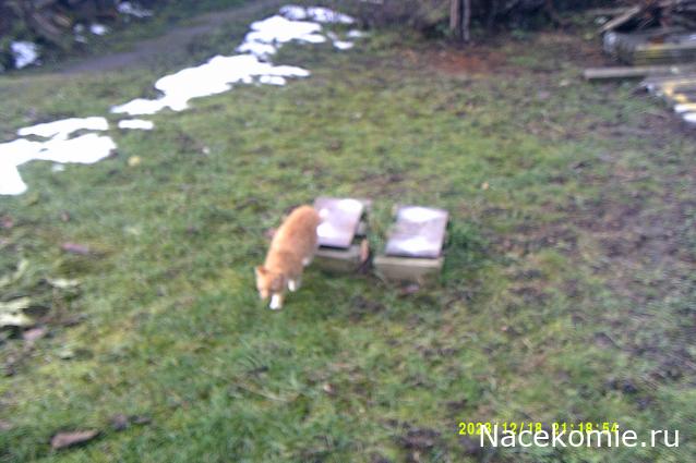 Eva1949 - Дом мечты-души моей воспоминания; 1Abrikoska - Мой гостеприимный дом