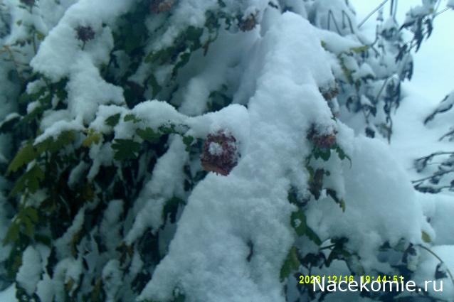 Eva1949 - Дом мечты-души моей воспоминания; 1Abrikoska - Мой гостеприимный дом