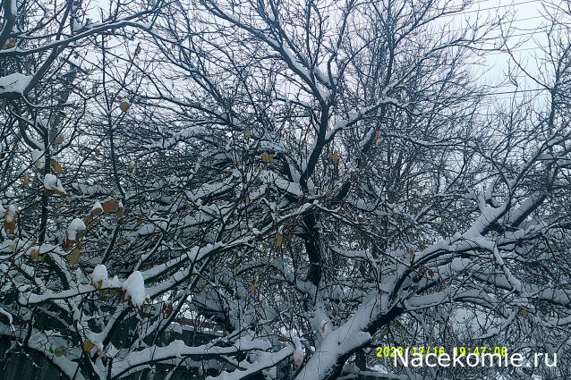 Eva1949 - Дом мечты-души моей воспоминания; 1Abrikoska - Мой гостеприимный дом