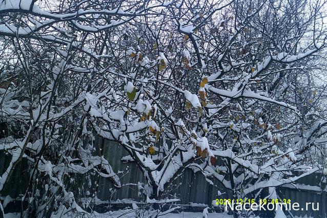 Eva1949 - Дом мечты-души моей воспоминания; 1Abrikoska - Мой гостеприимный дом