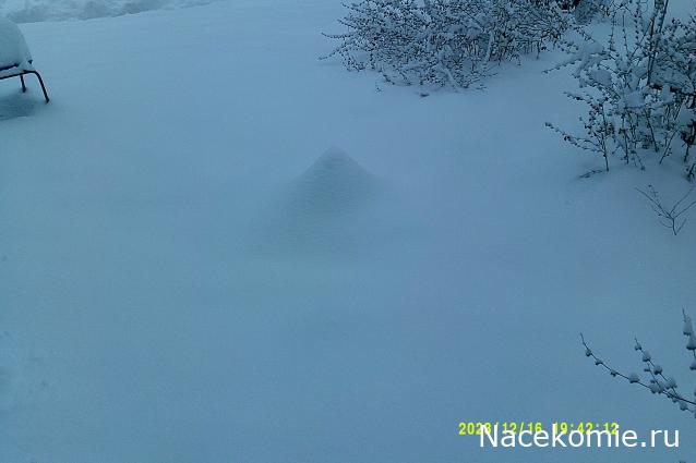 Eva1949 - Дом мечты-души моей воспоминания; 1Abrikoska - Мой гостеприимный дом