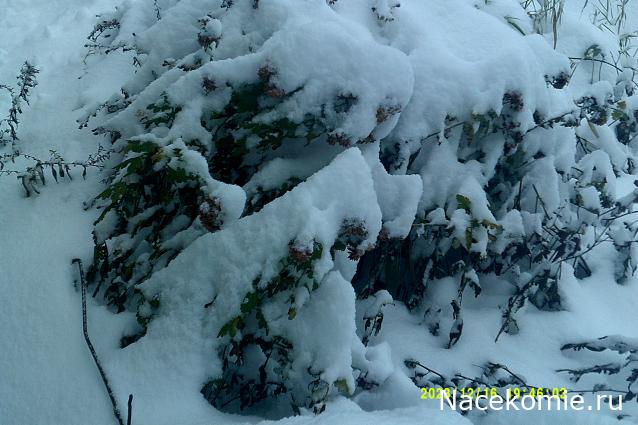 Eva1949 - Дом мечты-души моей воспоминания; 1Abrikoska - Мой гостеприимный дом