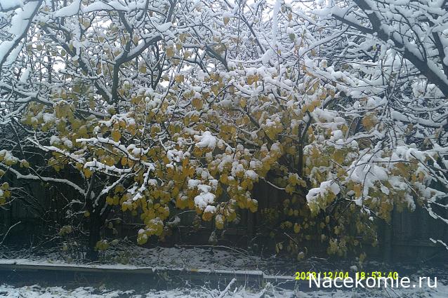 Eva1949 - Дом мечты-души моей воспоминания; 1Abrikoska - Мой гостеприимный дом