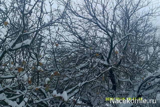 Eva1949 - Дом мечты-души моей воспоминания; 1Abrikoska - Мой гостеприимный дом