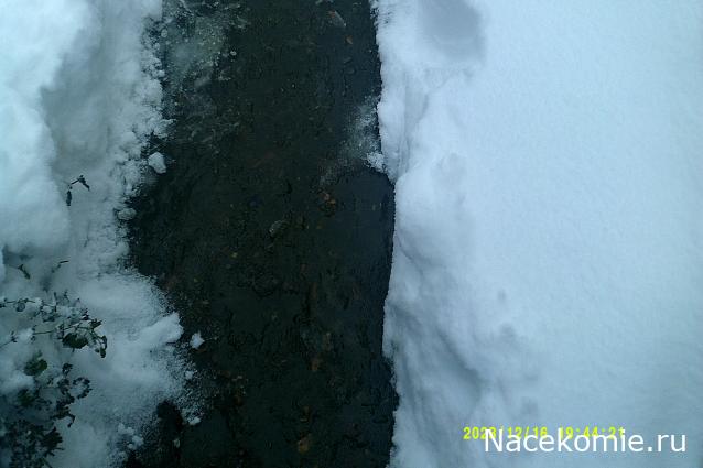 Eva1949 - Дом мечты-души моей воспоминания; 1Abrikoska - Мой гостеприимный дом