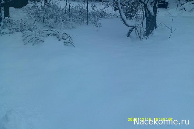 Eva1949 - Дом мечты-души моей воспоминания; 1Abrikoska - Мой гостеприимный дом