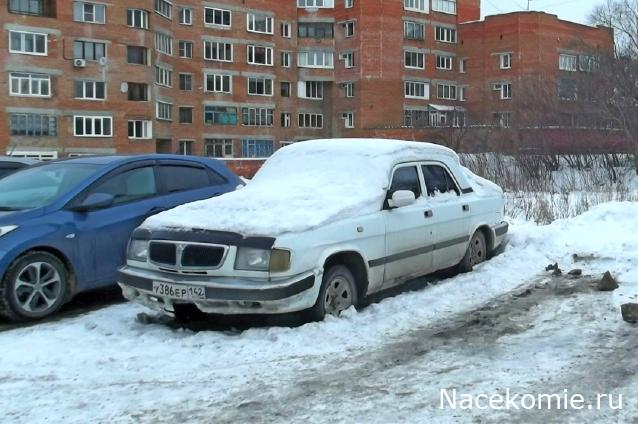 Автолегенды вживую