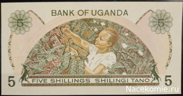 Коллекция alexenamel