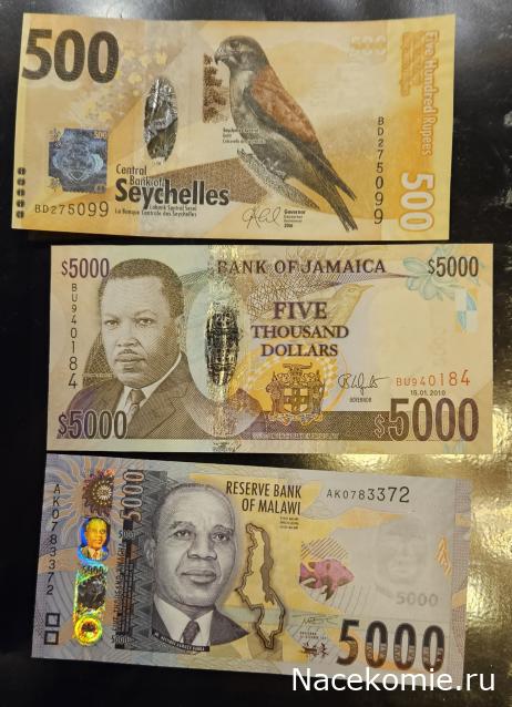 Коллекция alexenamel