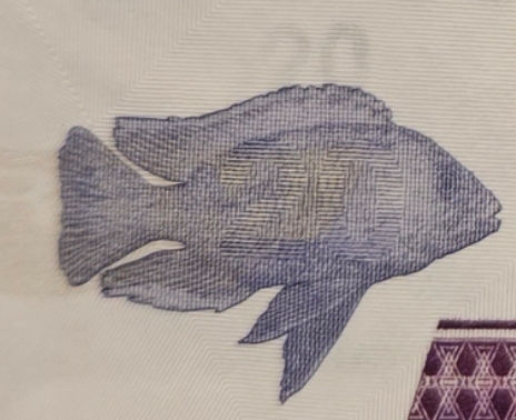 Коллекция alexenamel