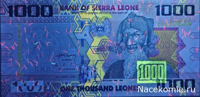 Коллекция alexenamel