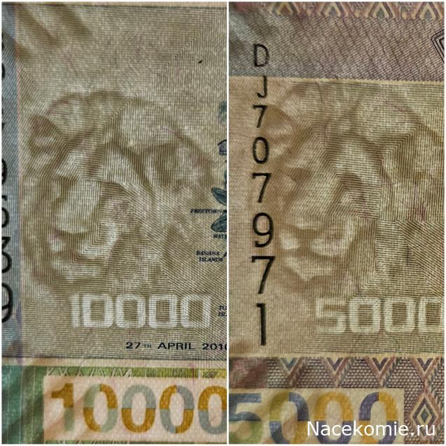 Коллекция alexenamel