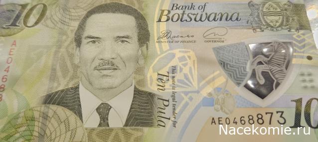 Коллекция alexenamel