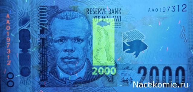 Коллекция alexenamel